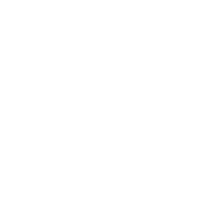 CG Chemicals logo